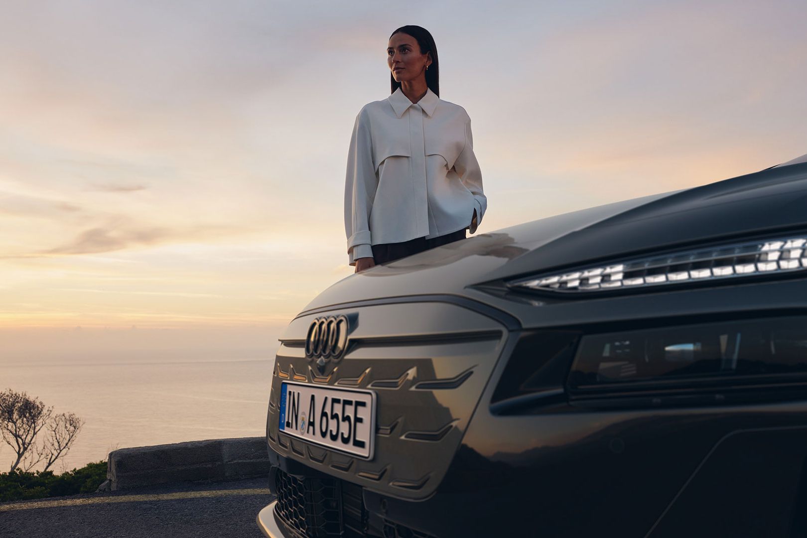 Audi veículos elétricos